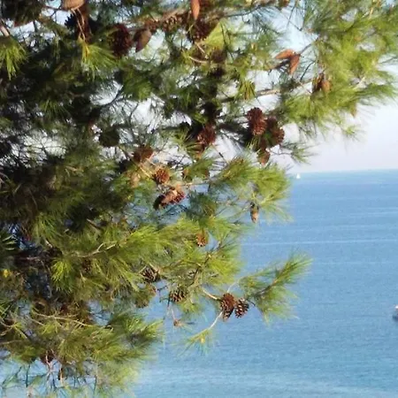A Marina On Sanremo Seaside